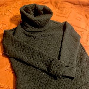 Gap fit small quilted turtle back sweater.